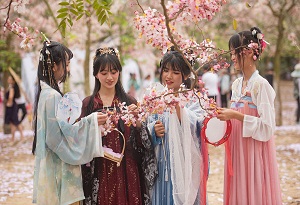 Visitors admire cherry blossoms in Hainan