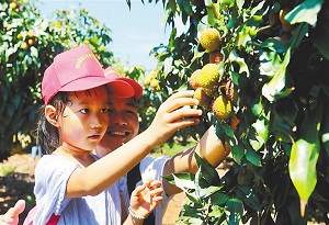 Hainan offers various discounts to mark China Tourism Day