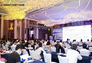 5th China AI, big data Hainan summit forum kicks off