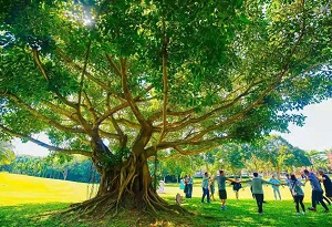 Haikou, Sanya listed among China's Top 100 Health Tourism Cities