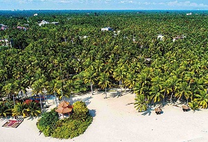Island province expands coconut business