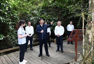 Xi stresses boosting national park development in Hainan