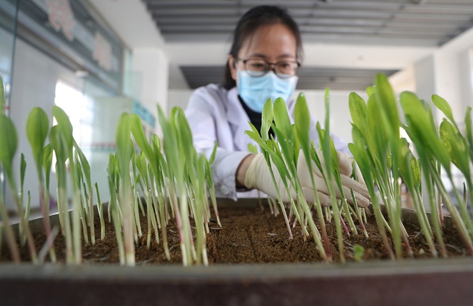 Xi's visit boosts morale on seed research