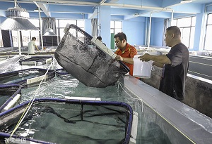 Hainan explores sustainable fishery 