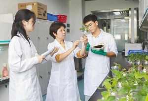 Field research boosts Hainan fruit industry development