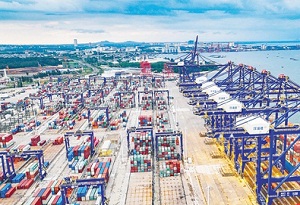 Construction starts on Yangpu Port customs clearance project 