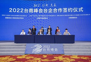2022 Taiwan Business Summit opens in Haikou