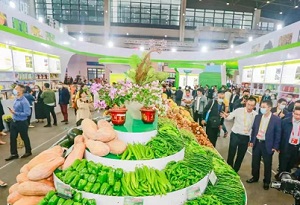 Hainan to host 2022 winter trade fair for tropical agri-products