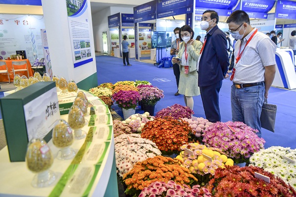 Sanya holds ceremony to award seed industry scientists