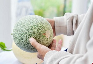 Watermelon, melon industry development congress opens in Hainan