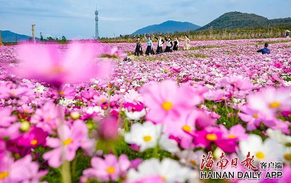Spring scenery boosts Hainan's tourism industry