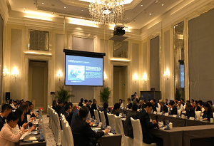 Conference boosts economic cooperation between Hainan, Netherlands