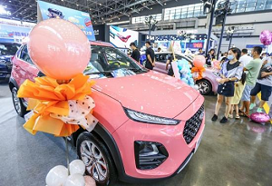 Hainan strengthens promotion of new energy vehicles
