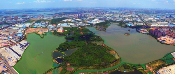 武汉开发区有26个湖泊，绿意盎然。图为沌口林场、汤湖等。长江日报记者李永刚摄_副本.jpg