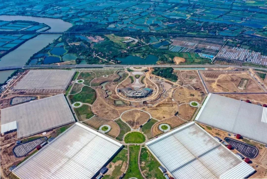 Wuhan development zone to develop seed valley
