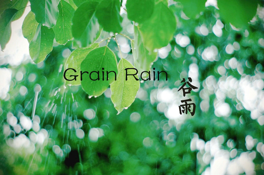 Culture Insider: Five Things you may not know about Grain Rain