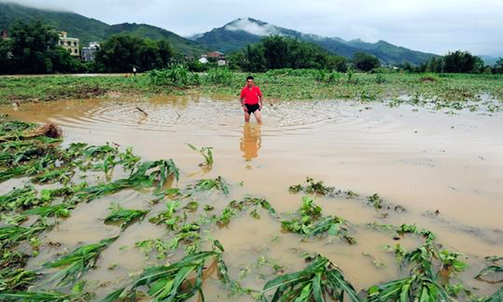 Rain floods fields