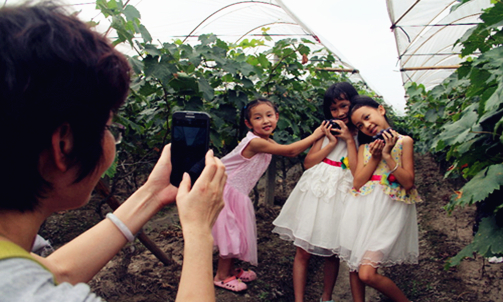 Yizhou holds grape festival
