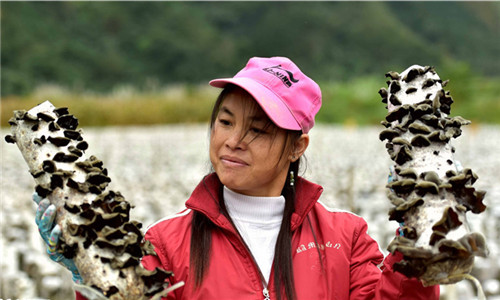 Targeted measures for poverty alleviation uplift Nandan villagers