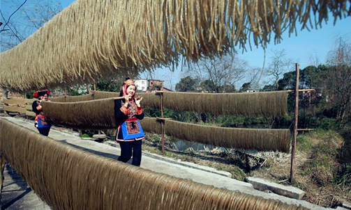 Sweet potato vermicelli in hot demand