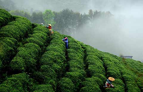 Top 11 provinces with ambitious growth targets