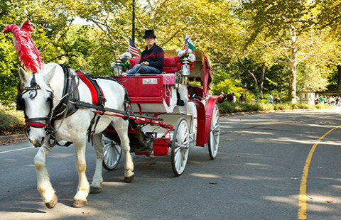 Top 10 overseas destinations for Chinese tourists for the holiday