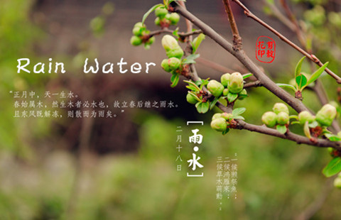 Culture Insider: 5 things you may not know about Rain Water