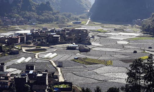 Plows get rolling in Luocheng