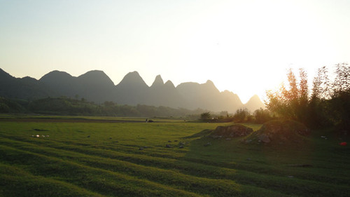 Hechi relishes in green cover