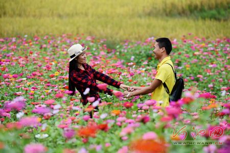 October flowers in Nandan attract visitors