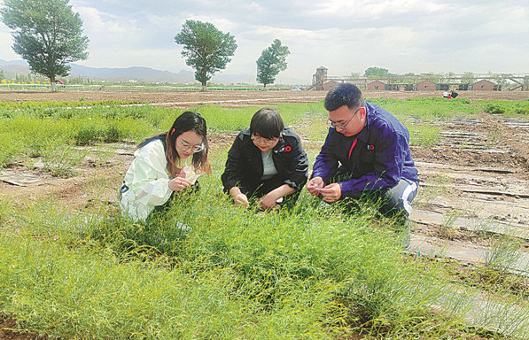 As grasslands recover, space seeds take root