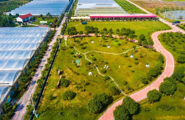 Huzhou nurtures more agricultural innovators
