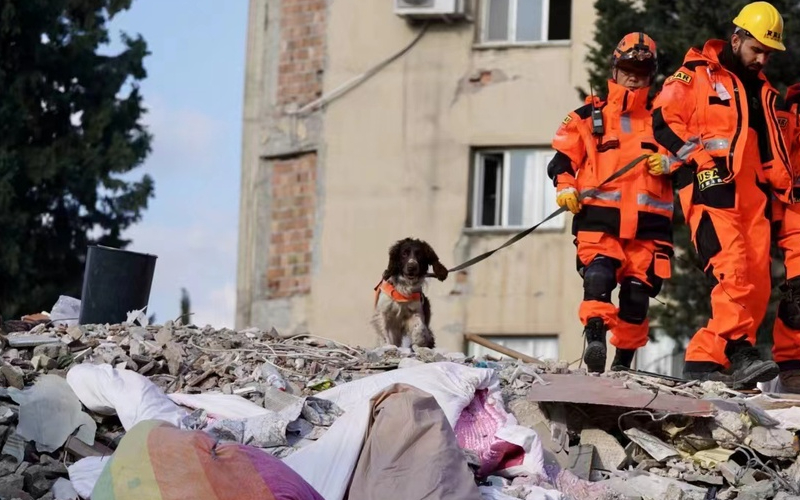 Rescue dog helps find earthquake survivors