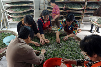 Technology improves Huzhou's silk industry