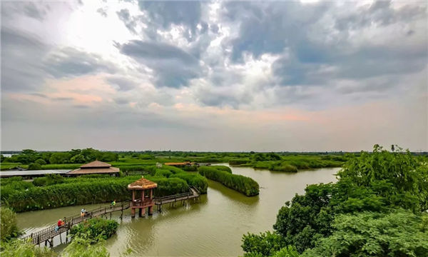 Two Huzhou places designated provincial 'rural oxygen bars' 