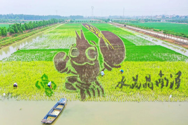 2 Huzhou places named provincial models for rice-fish farming