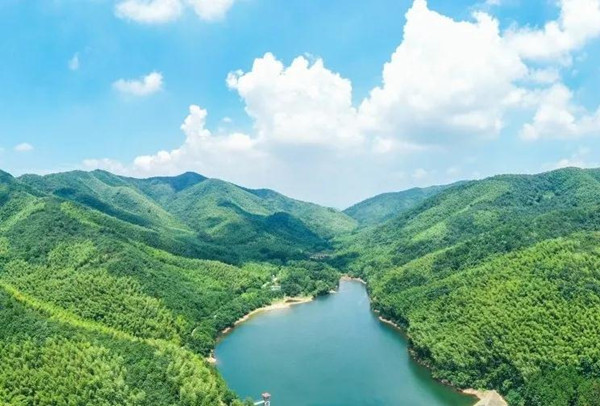 Huzhou forest farm listed among nation's top 10