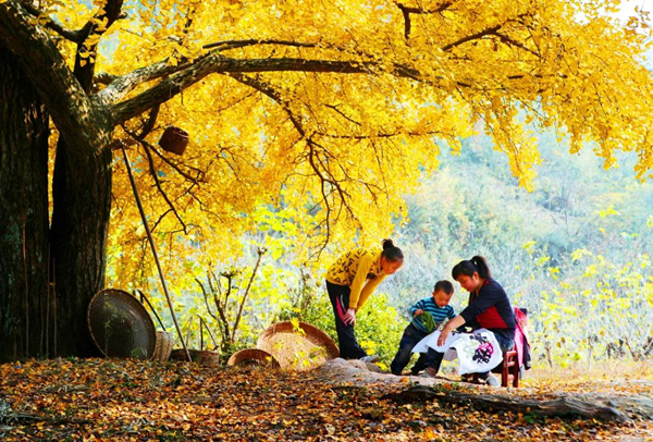 Places to visit in Huzhou in autumn