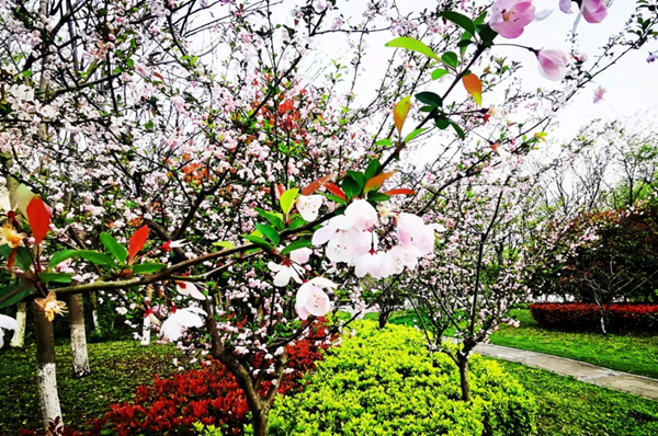 Come visit Huzhou in springtime