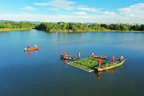 'River chief' system bears fruitful results in Huzhou