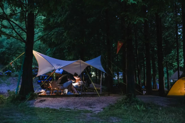 Conference explores camping industry development