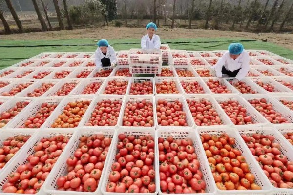 Huzhou ramps up financial support for farmers