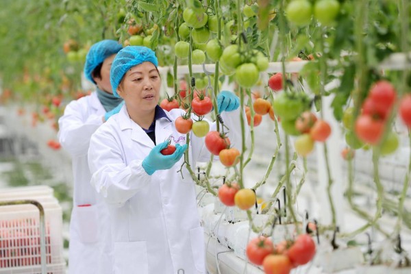 Huzhou recognized nationally for rural digitalized development