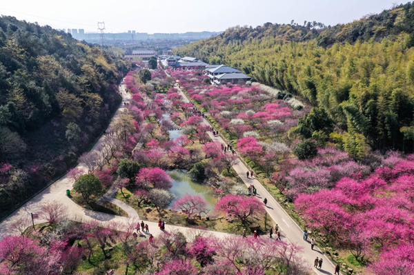 National flower exhibition to open in Changxing