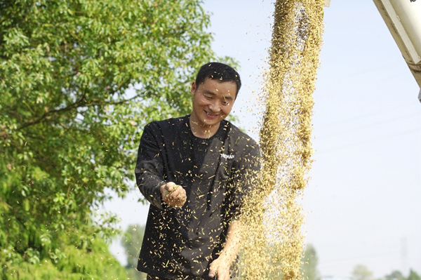 In pics: Farmers busy harvesting late rice in Nanxun