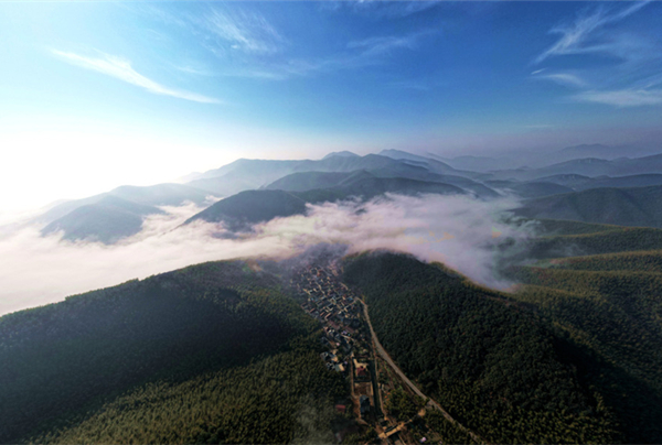 Mist transforms Huzhou hamlet into a transcendent wonderland