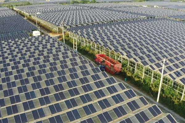 Changxing leads the way in low-carbon development
