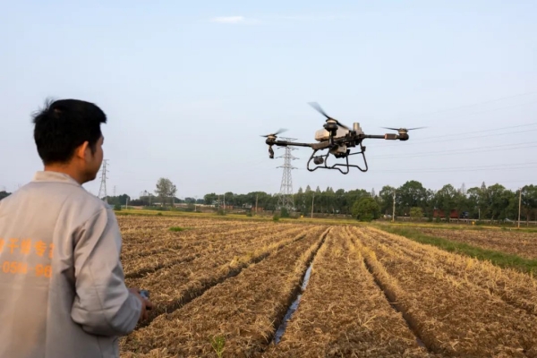 Drone technology revolutionizes agriculture in Huzhou