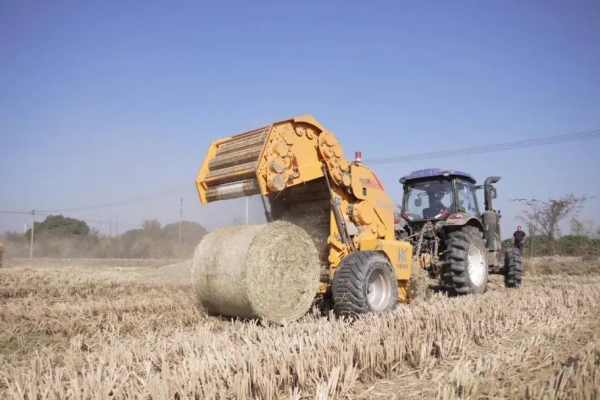 Huzhou turns straw into green wealth