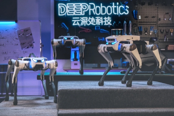 Huzhou-developed robot dogs wow with rhythmic dancing